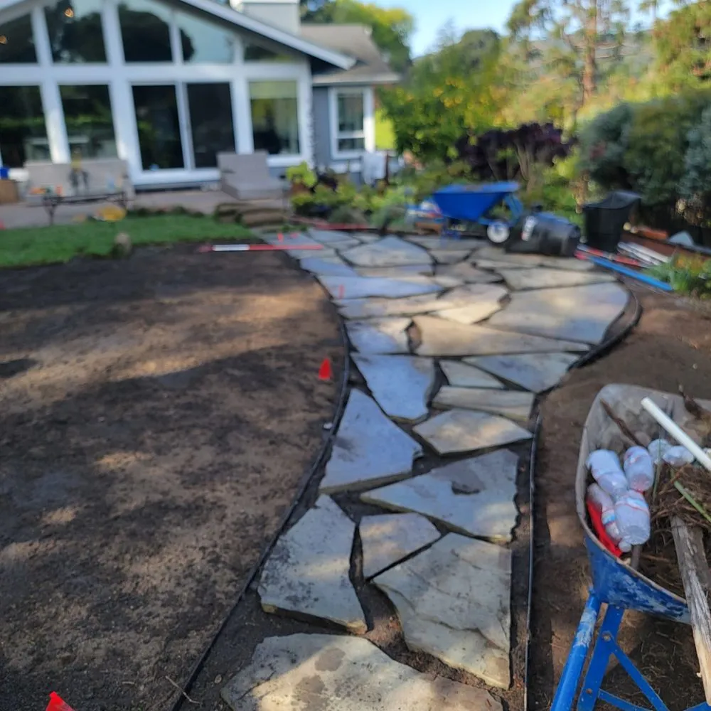 Professional yard cleanup service in San Rafael, CA by Juarez Landscaping Services