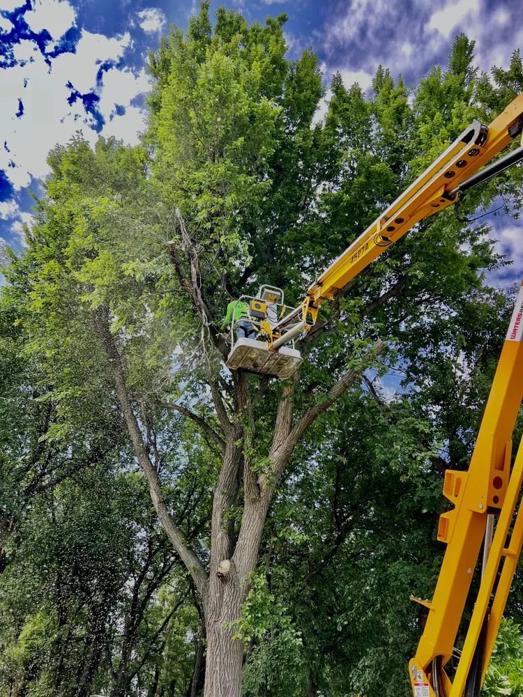 Professional lawn care service experts serving Dodge City, KS - Juarez Lawn & Landscaping