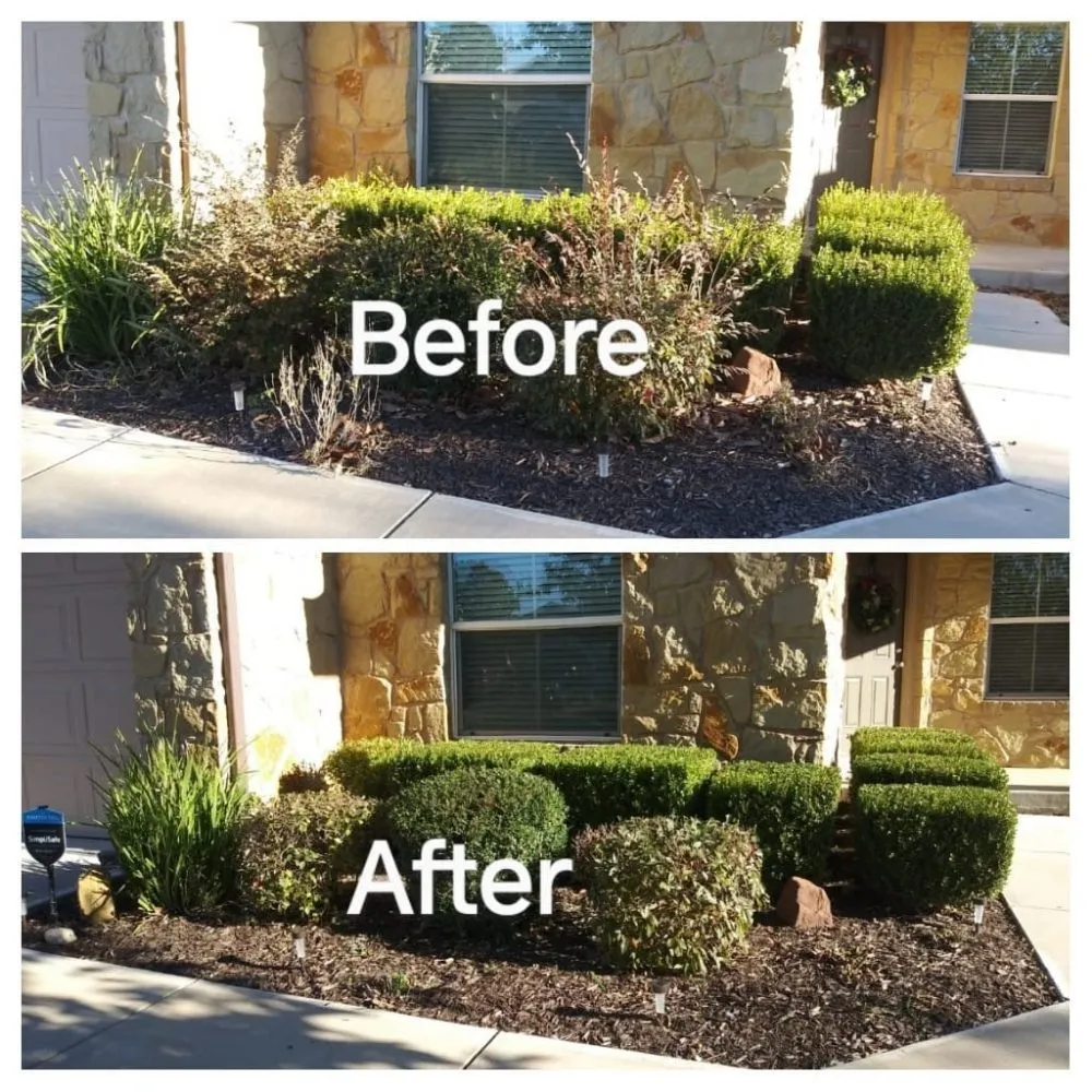 Professional outdoor landscaping in Buda, TX by Juarez Lawn Service