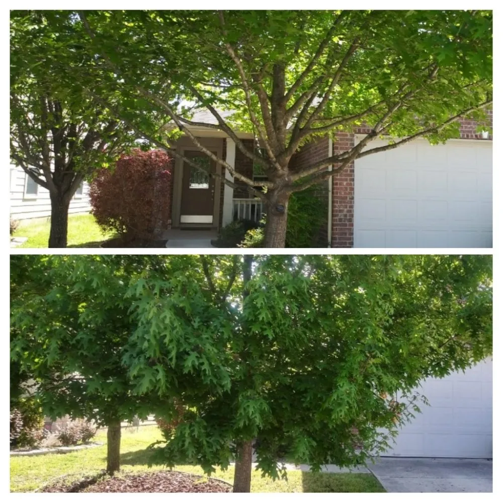 Reliable outdoor landscaping in Buda, TX by Juarez Lawn Service