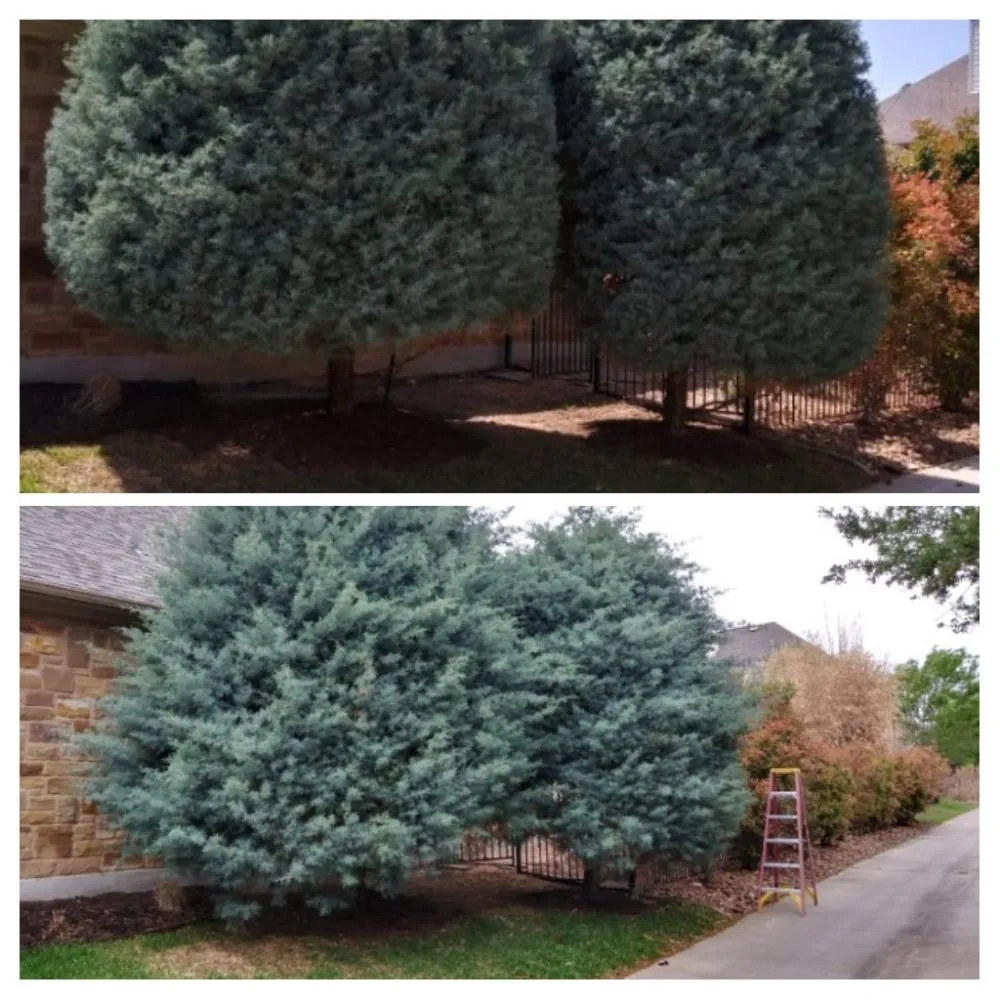 Reliable landscape design experts serving Buda, TX - Juarez Lawn Service