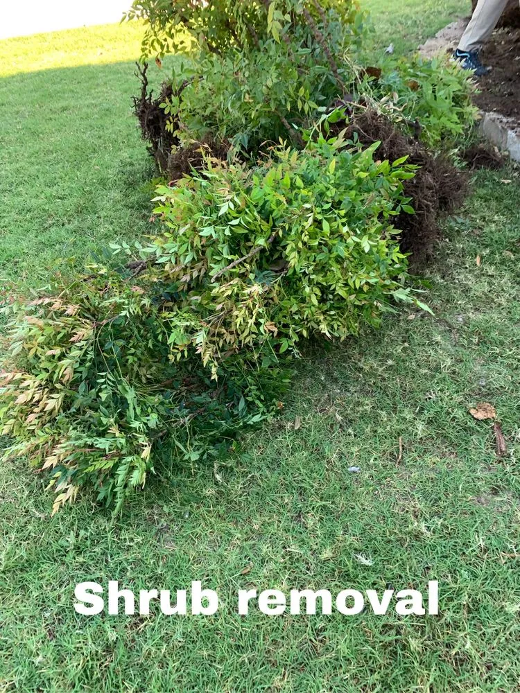 Affordable yard cleanup service in Oklahoma City, OK by Juarez Legends Landscaping