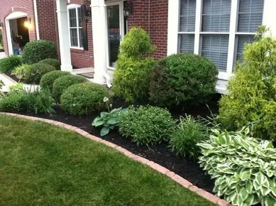 Top-rated landscape installation experts serving Austin, TX - JubileeCo