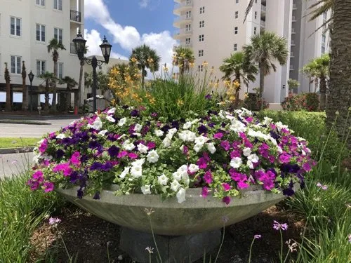 Expert lawn mowing service experts serving Mobile, AL - JubileeScape