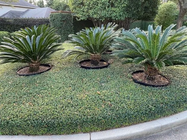 Trusted lawn mowing service experts serving Mobile, AL - JubileeScape