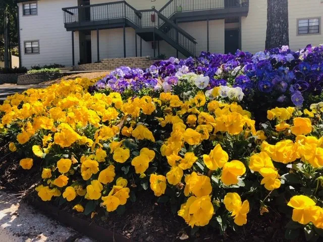 Trusted outdoor landscaping near you in Mobile, AL by JubileeScape