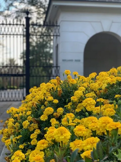 Expert garden landscaping in Mobile, AL - JubileeScape