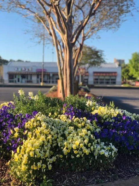 Expert outdoor landscaping experts serving Mobile, AL - JubileeScape