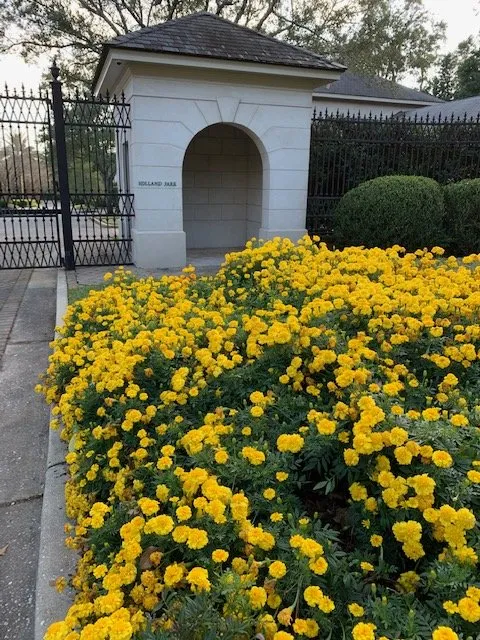 Expert lawn mowing service for beautiful yards across Mobile, AL - JubileeScape