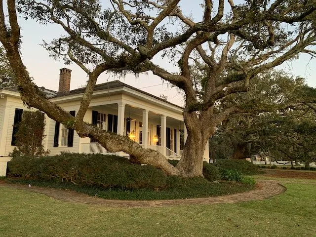 Trusted residential landscaping experts serving Mobile, AL - JubileeScape