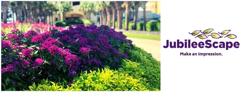 Affordable landscape design in Mobile, AL - JubileeScape