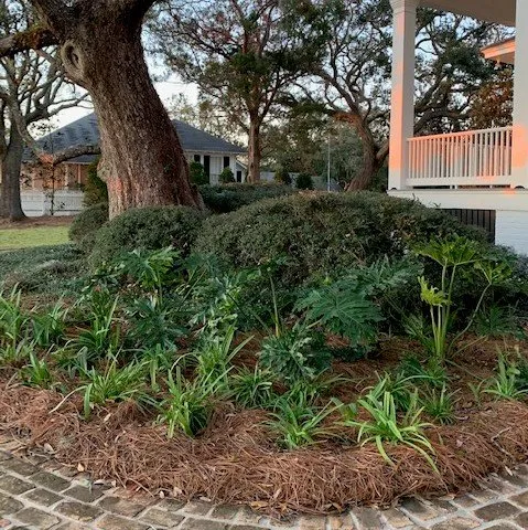 Local yard maintenance experts serving Mobile, AL - JubileeScape