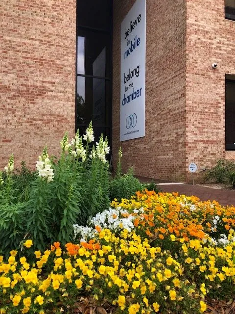 Custom lawn mowing service in Mobile, AL - JubileeScape