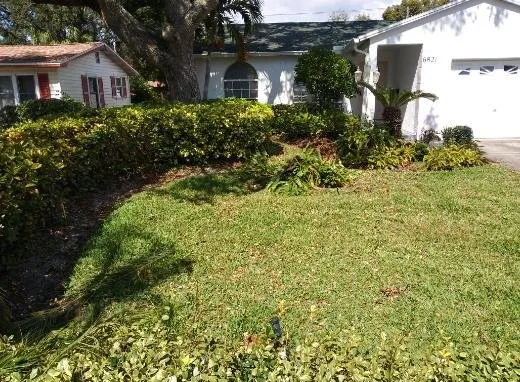 Expert residential landscaping experts serving St. Petersburg, FL - Judah's Lawn Care Service & More