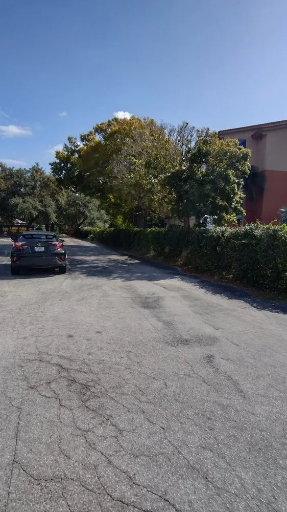 Reliable landscaping services experts serving St. Petersburg, FL - Judah's Lawn Care