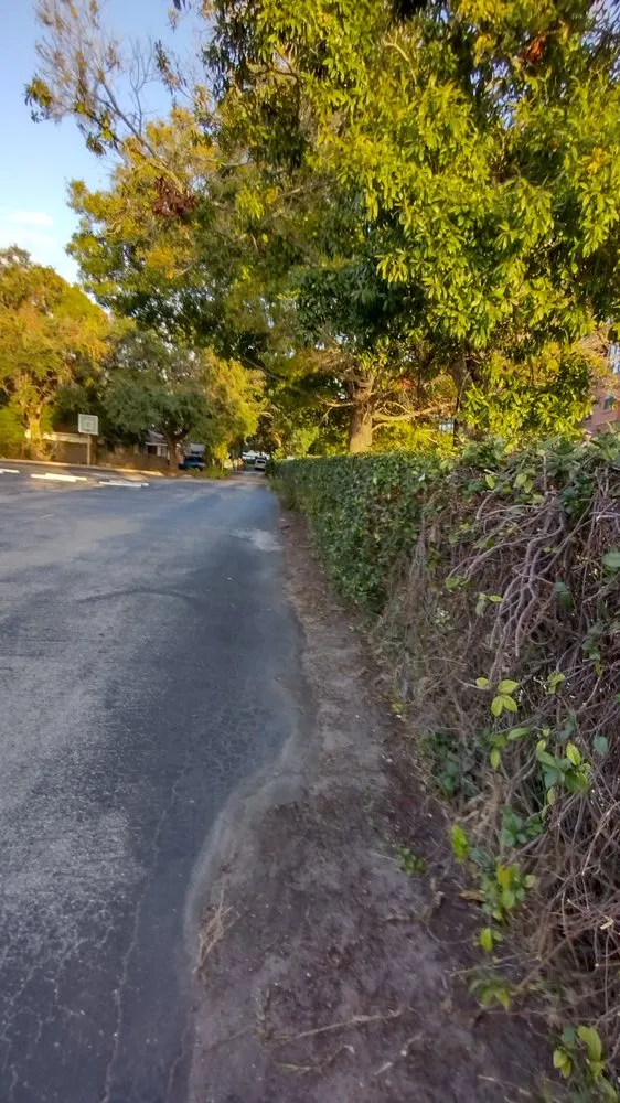 Local landscape installation for residential properties in St. Petersburg, FL by Judah's Lawn Care