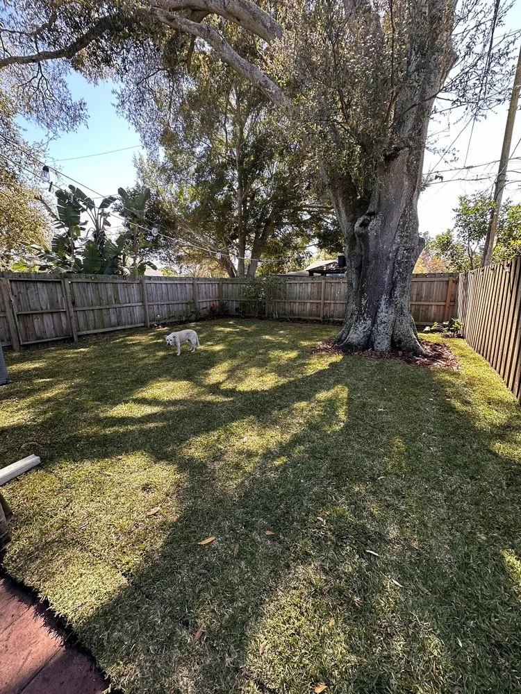 Reliable yard cleanup service in St. Petersburg, FL by Judah's Lawn Care