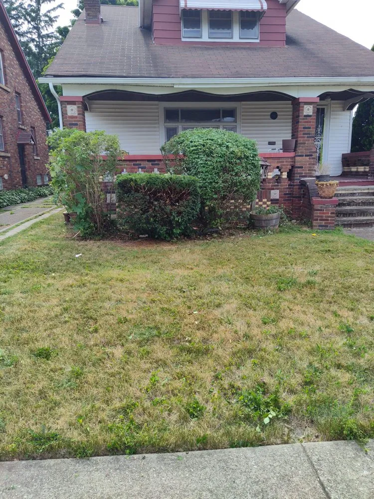 Trusted lawn care service in Cleveland, OH by Judahscapes Landscaping