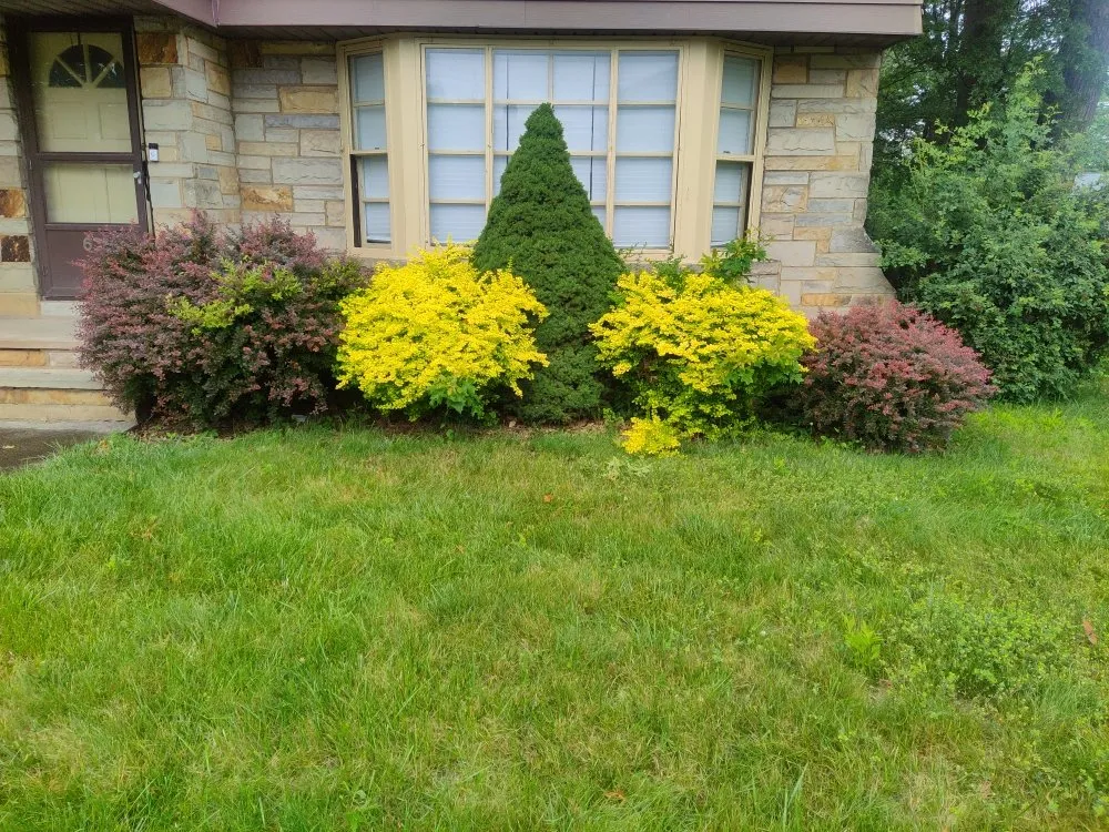 Trusted lawn mowing service experts serving Cleveland, OH - Judahscapes Landscaping