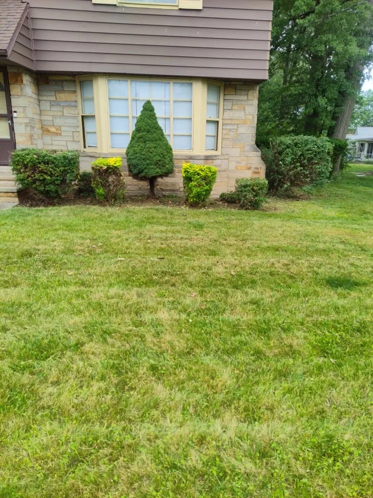 Reliable garden landscaping for homes across Cleveland, OH - Judahscapes Landscaping