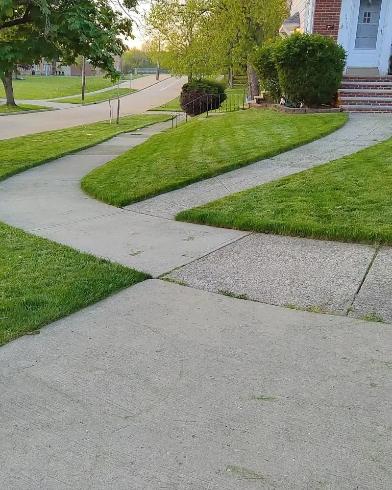 Professional yard cleanup service in Cleveland, OH - Judahscapes Landscaping