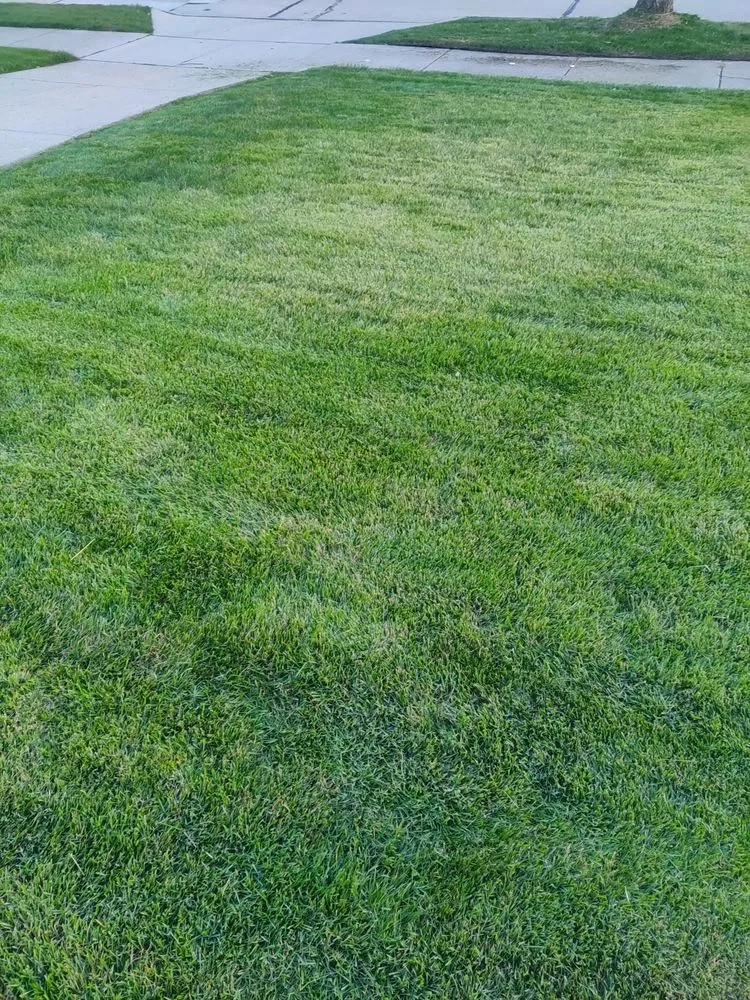 Trusted landscape installation in Cleveland, OH - Judahscapes Landscaping