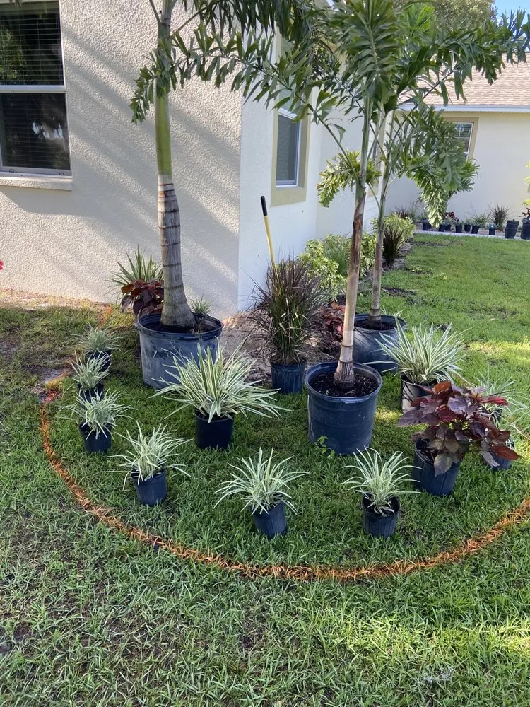 Professional landscaping services for outdoor upgrades in Gainesville, FL by Judd Parker