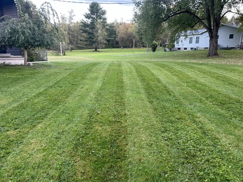 Reliable yard cleanup service with custom design across Whitesboro, NY - Judd Rd Property Maintenance