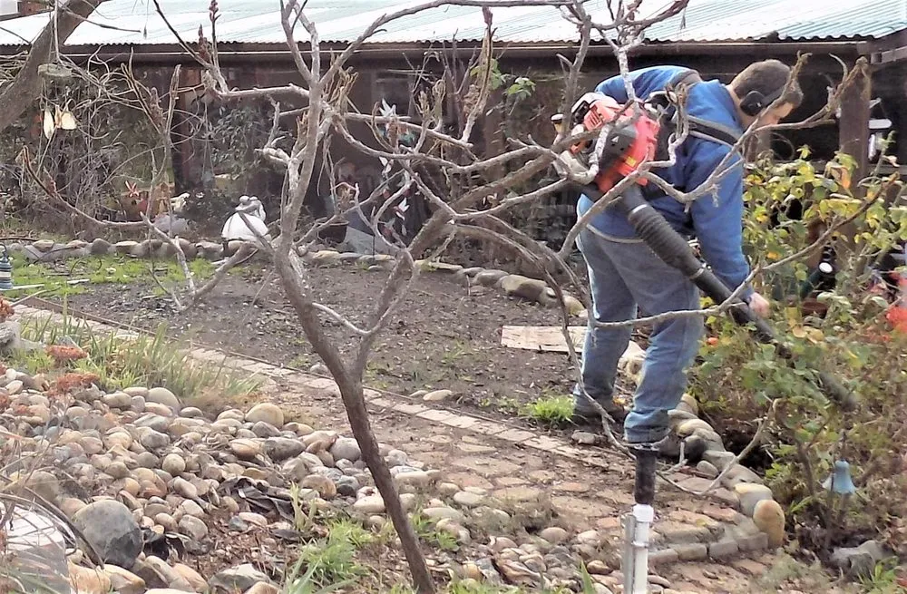 Custom landscape design in Jamestown, CA - Judnich Gardening & Maintenance