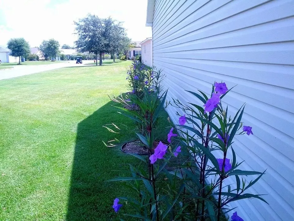 Local residential landscaping experts serving Leesburg, FL - Judson Lawn & Landscape Services