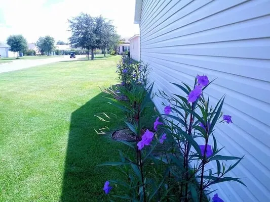 Judson Lawn & Landscape Services Logo