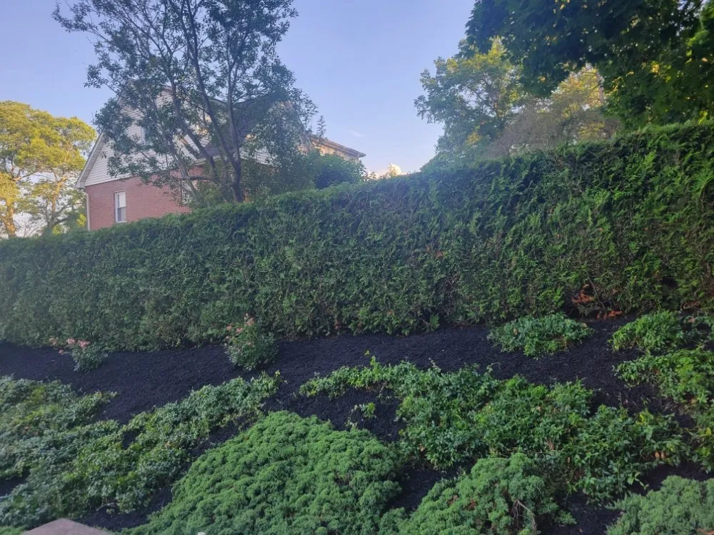 Expert landscape installation experts serving Harriman, NY - Judy's Multi Services