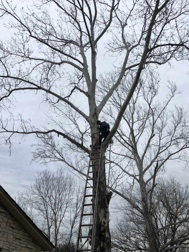 Professional garden landscaping in San Antonio, TX - Judy's Tree Service