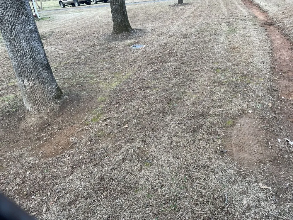 Expert landscape installation for year-round maintenance across Inman, SC - Juett Lawn Care & Services