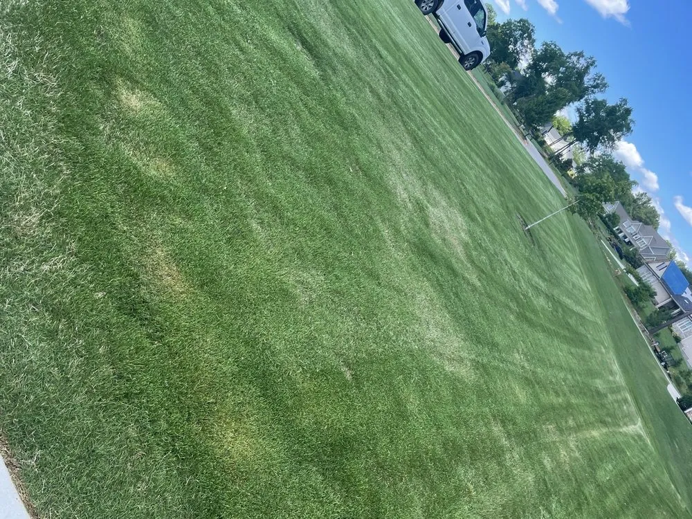 Affordable yard cleanup service in Inman, SC by Juett Lawn Care & Services