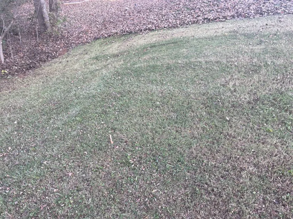 Reliable landscape design for year-round maintenance in Inman, SC by Juett Lawn Care & Services