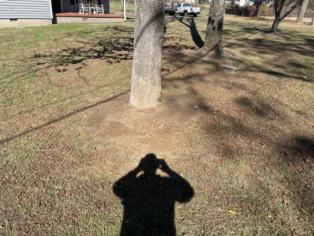 Custom yard maintenance experts serving Inman, SC - Juett Lawn Care & Services