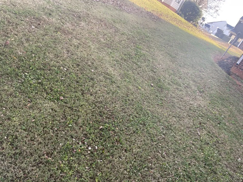 Expert residential landscaping near you across Inman, SC - Juett Lawn Care & Services