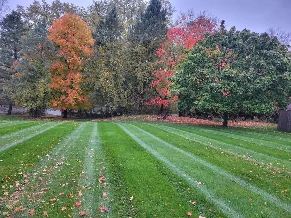 Professional lawn care service for year-round maintenance across Inman, SC - Juett Lawn Care & Services