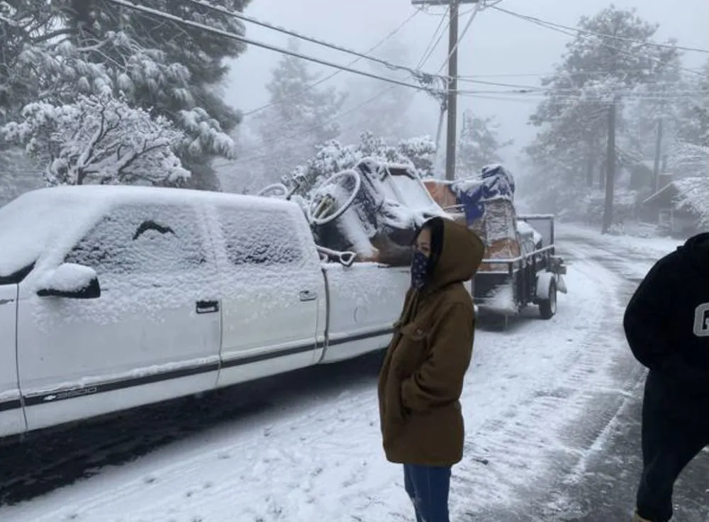 Expert yard maintenance for residential properties in Buena Park, CA by Juggernaut Labor