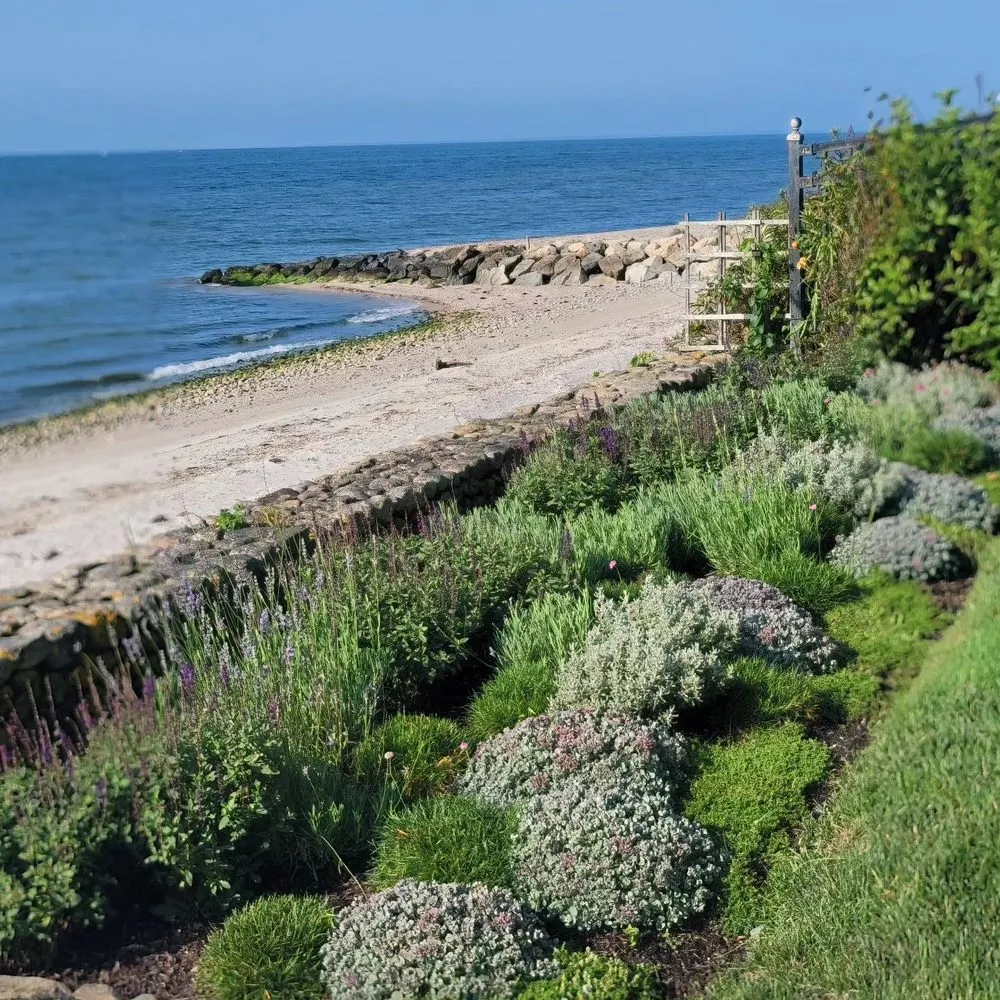 Affordable landscape design in Osterville, MA by Julia Garden Design