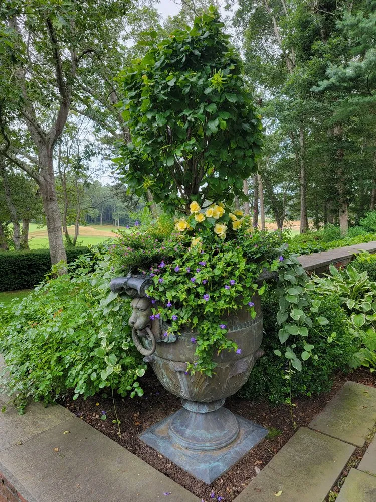 Reliable yard cleanup service in Osterville, MA by Julia Garden Design