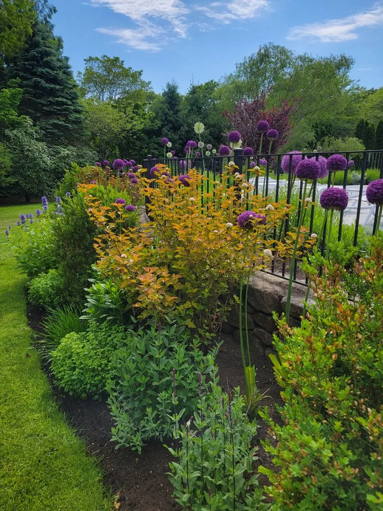 Top-rated lawn care service experts serving Osterville, MA - Julia Garden Design