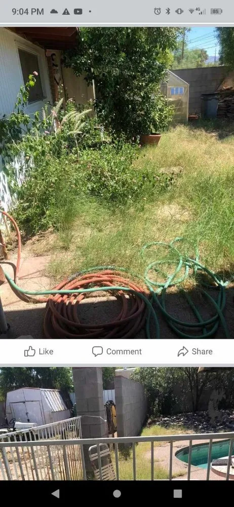 Professional landscape installation in Tucson, AZ - Julian & Juniors Landscaping