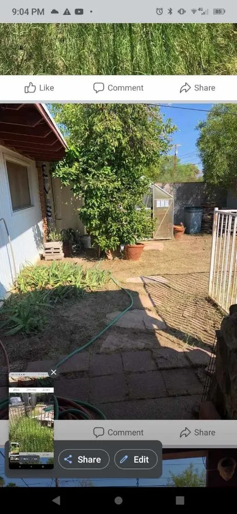 Affordable yard cleanup service experts serving Tucson, AZ - Julian & Juniors Landscaping