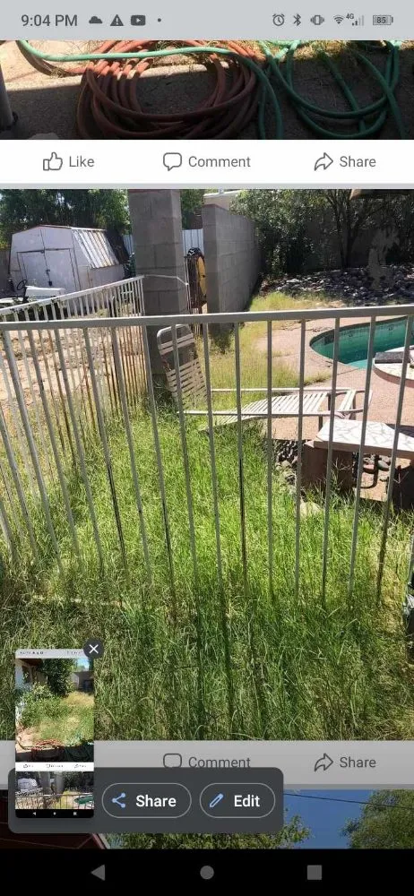 Expert garden landscaping in Tucson, AZ by Julian & Juniors Landscaping