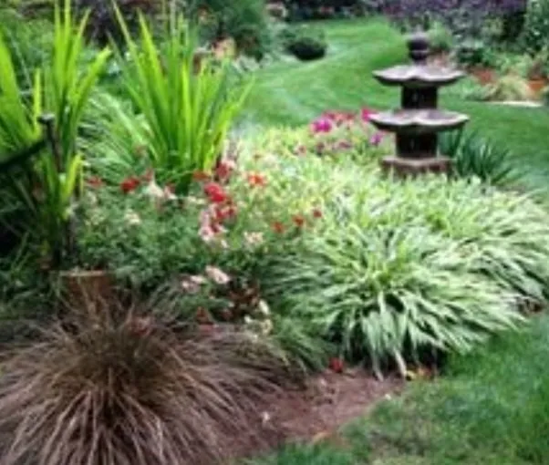 Trusted residential landscaping in Julian, CA by Julian heart & home