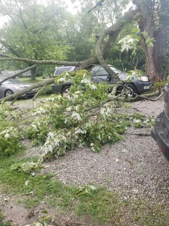 Local lawn mowing service in Shelbyville, IN by Julian Lancasping