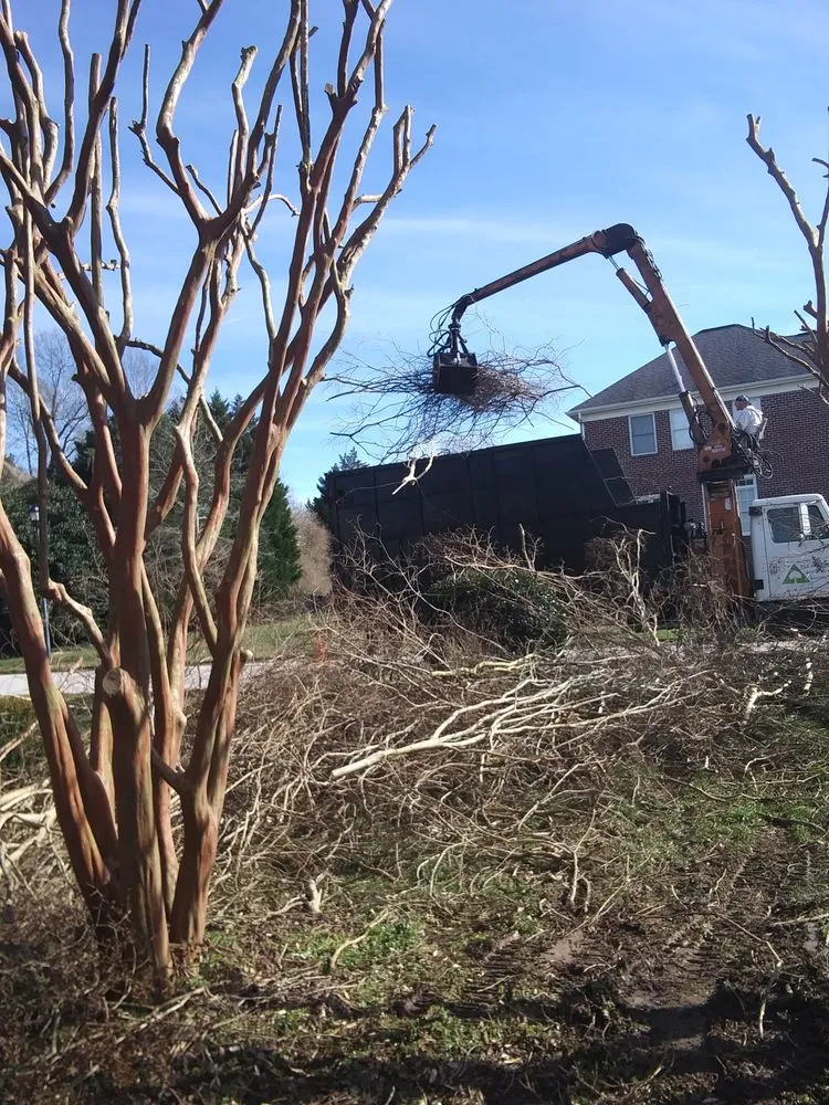 Professional yard cleanup service experts serving Fort Mill, SC - Julian Landscape Group