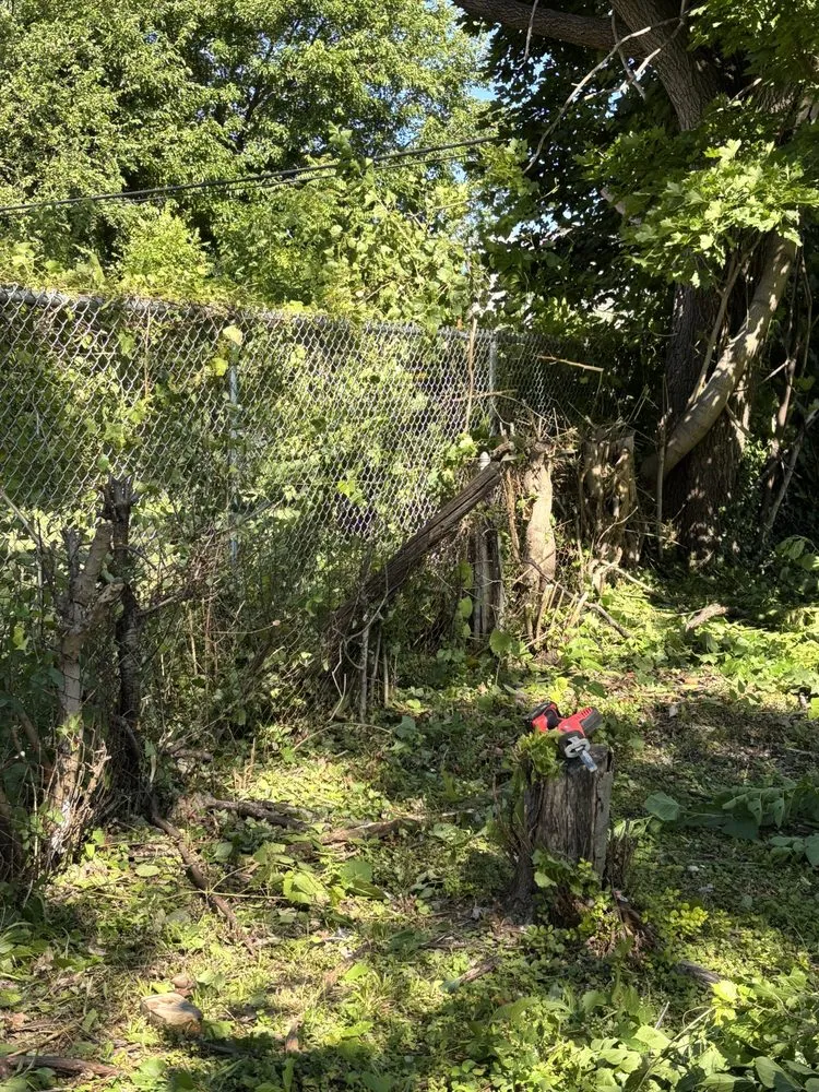 Reliable yard cleanup service in Detroit, MI - Julian Lawncare And Maintenance